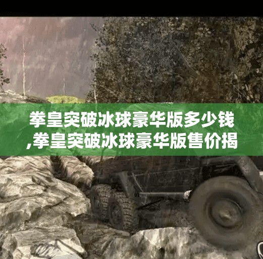 拳皇突破冰球豪华版多少钱,拳皇突破冰球豪华版售价揭秘！值不值得入手？看完这篇再决定！